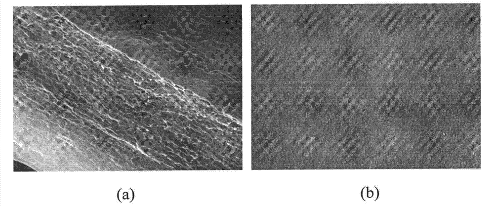 Diene/ether copolymer-based lithium ion gel electrolyte membrane and preparation method thereof