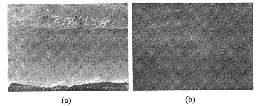 Diene/ether copolymer-based lithium ion gel electrolyte membrane and preparation method thereof