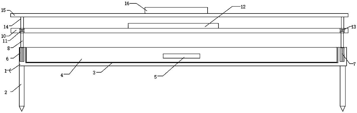 Protective equipment for seeding and seedling cultivation of Nandina domestica