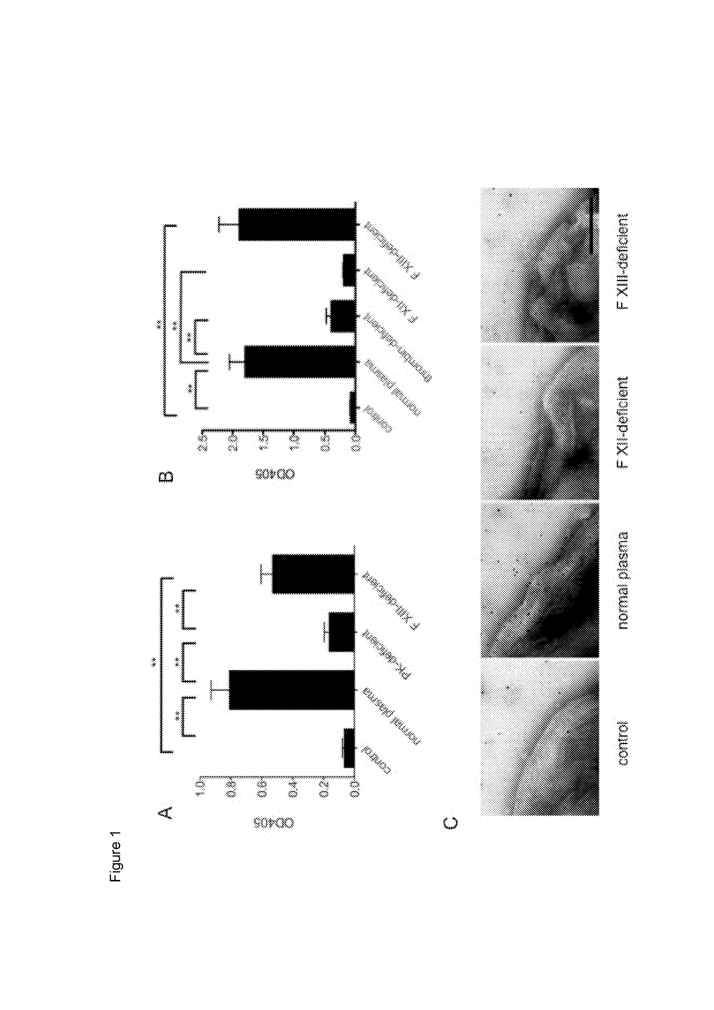 Ancestral serine protease coagulation cascade exerts a novel function in early immune defense