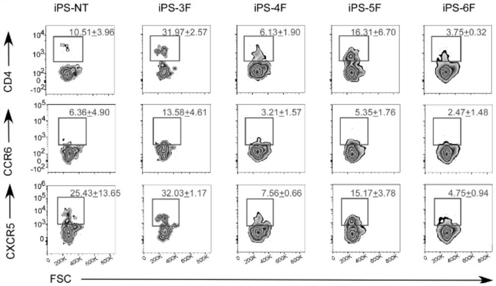 Method for directional differentiation of induced pluripotent stem cells into lymphoid tissue induced cells