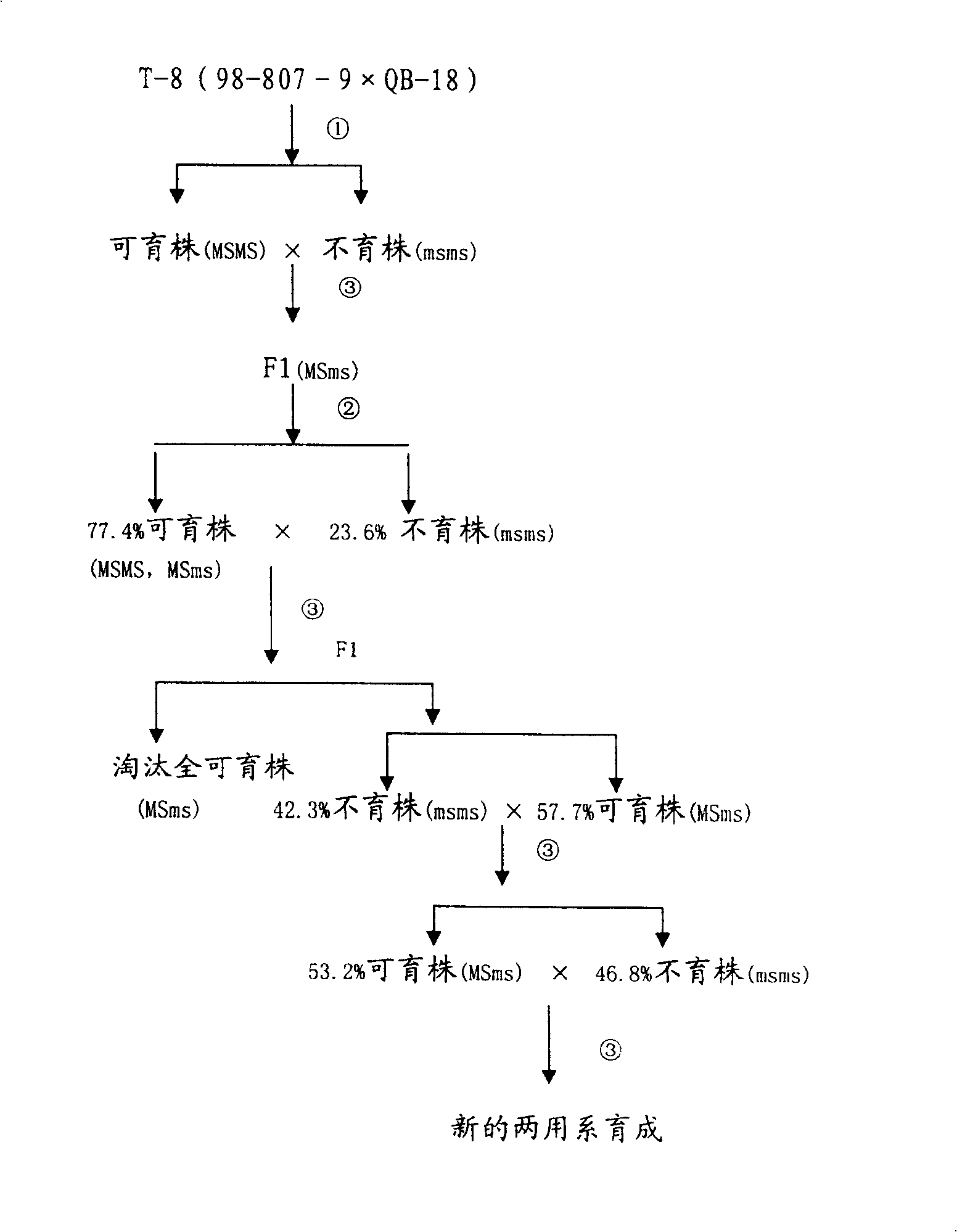 Breeding method for chilli pepper nuclear male sterile dual purpose line and nuclear substance male sterile recovery line