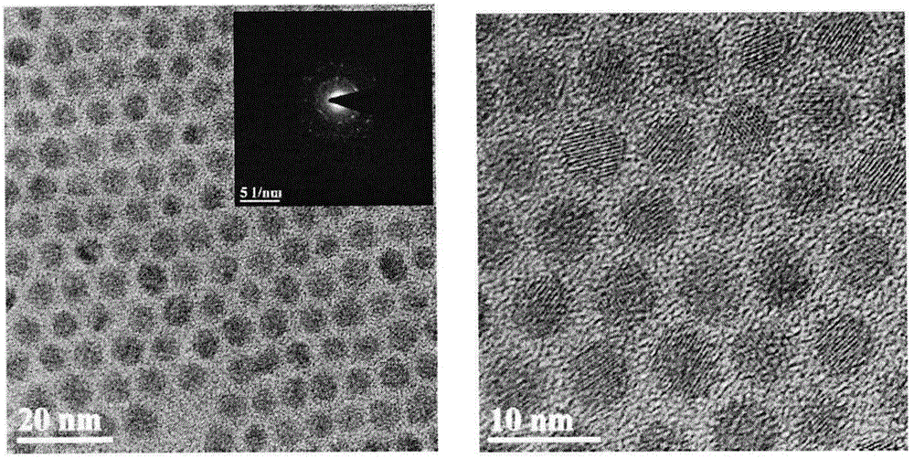 Method for synthesizing CdSe/P3HT composite nanocrystals by direct growth method