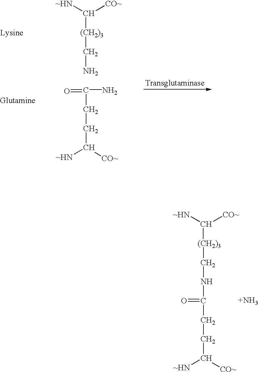 Feed mass having a modified protein structure for carnivorous animals