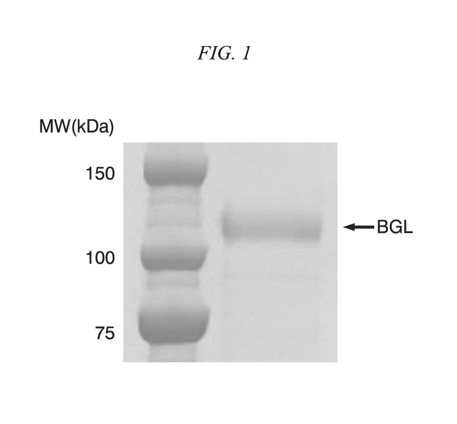 SS-glucosidase