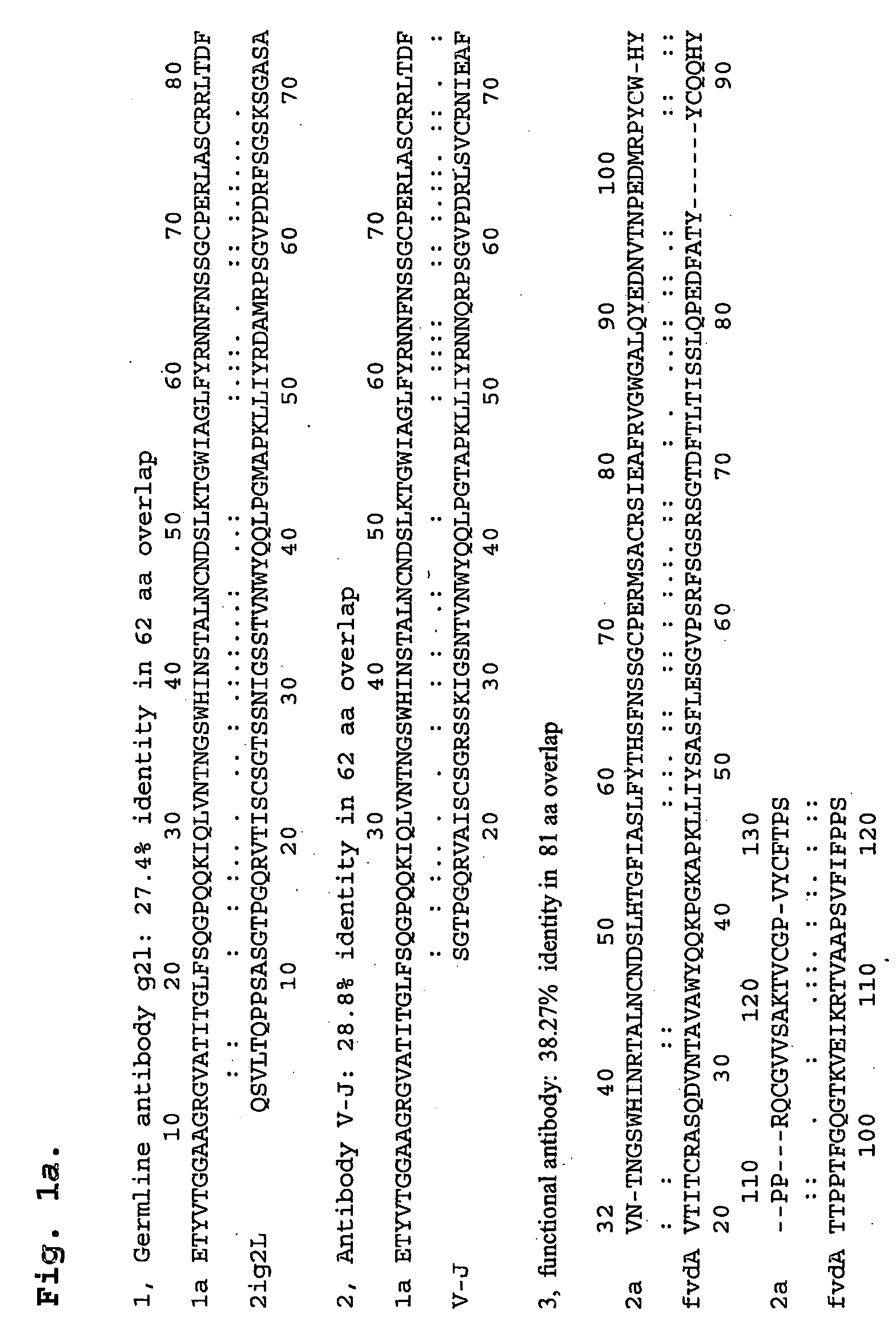 Detection, characterization and treatment of viral infection and methods thereof