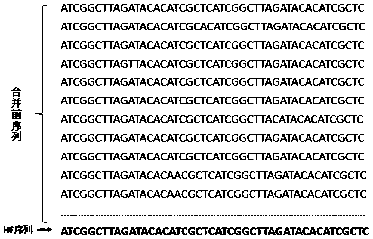 Adapters for Next Generation Sequencing