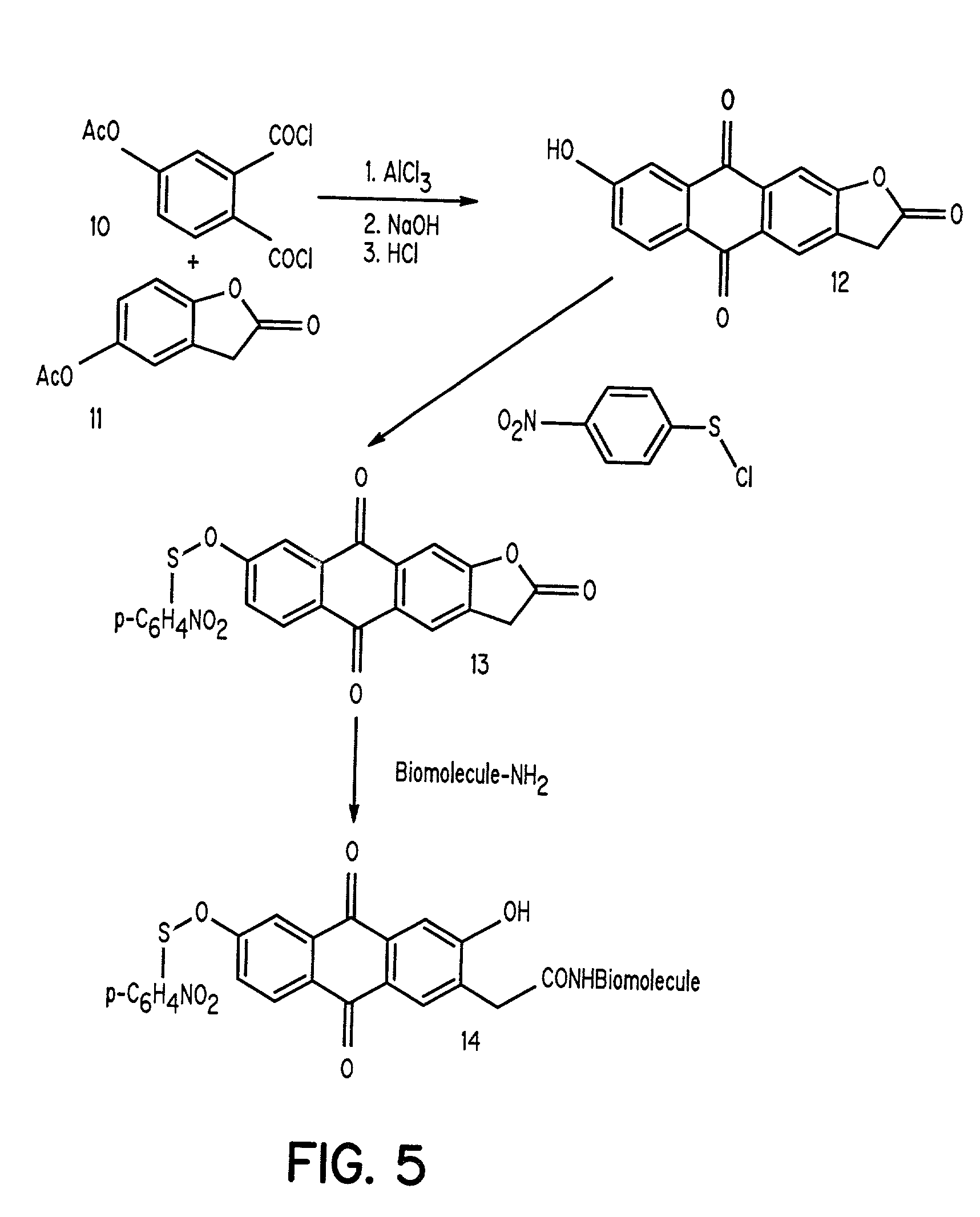 Aromatic sulfenates for type I phototherapy
