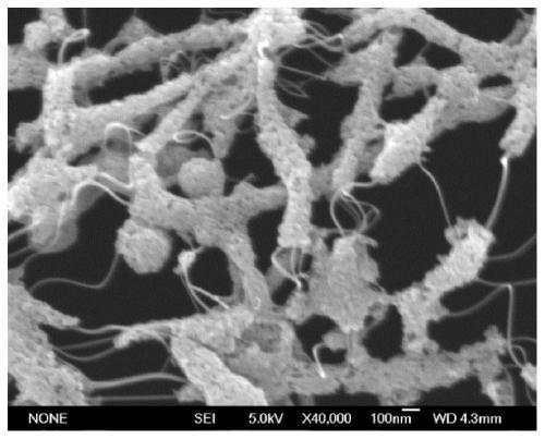Carbon nanotube/titanium dioxide composite film and preparation method and application thereof