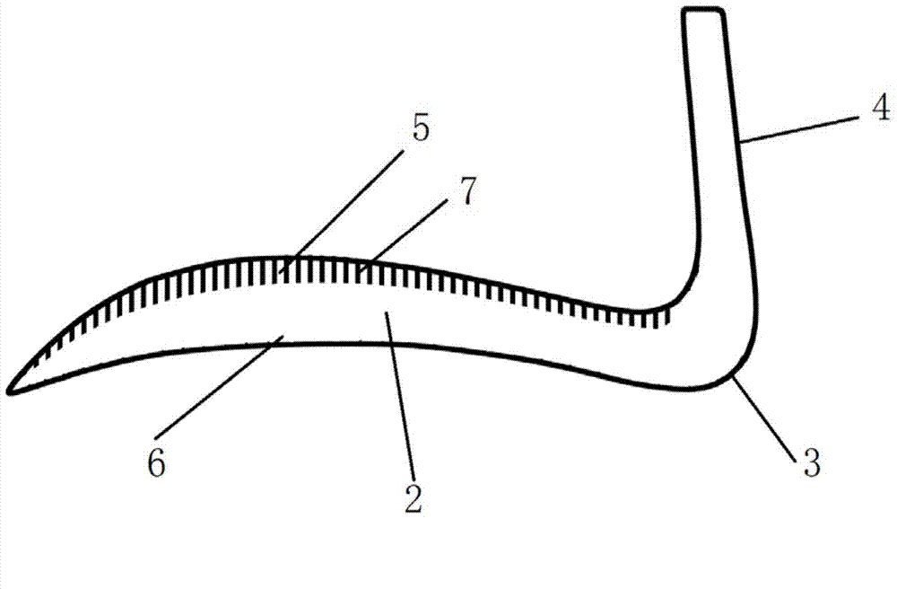 Nasal prosthesis and processing method