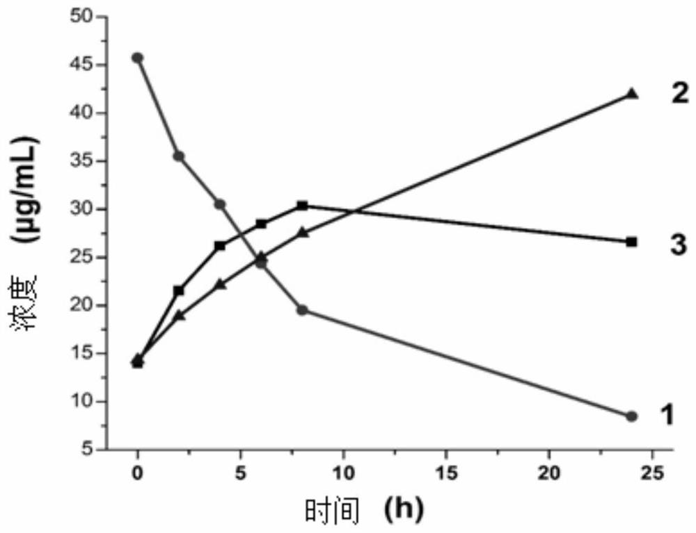 A preparation method and application of a snow chrysanthemum extract containing seacoside