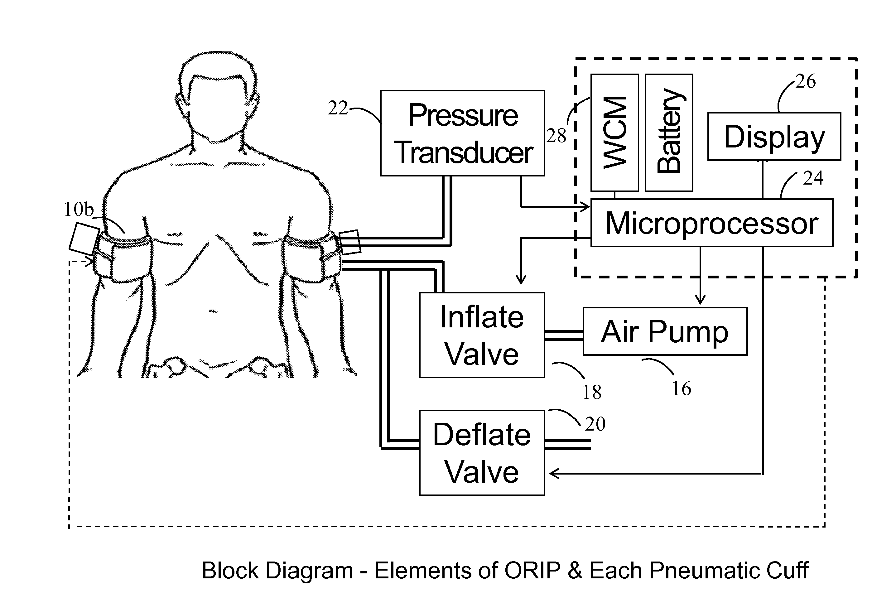Methods and apparatus for optimal remote ischemic preconditioning (ORIP) for preventing ischemia-reperfusion injuries to organs