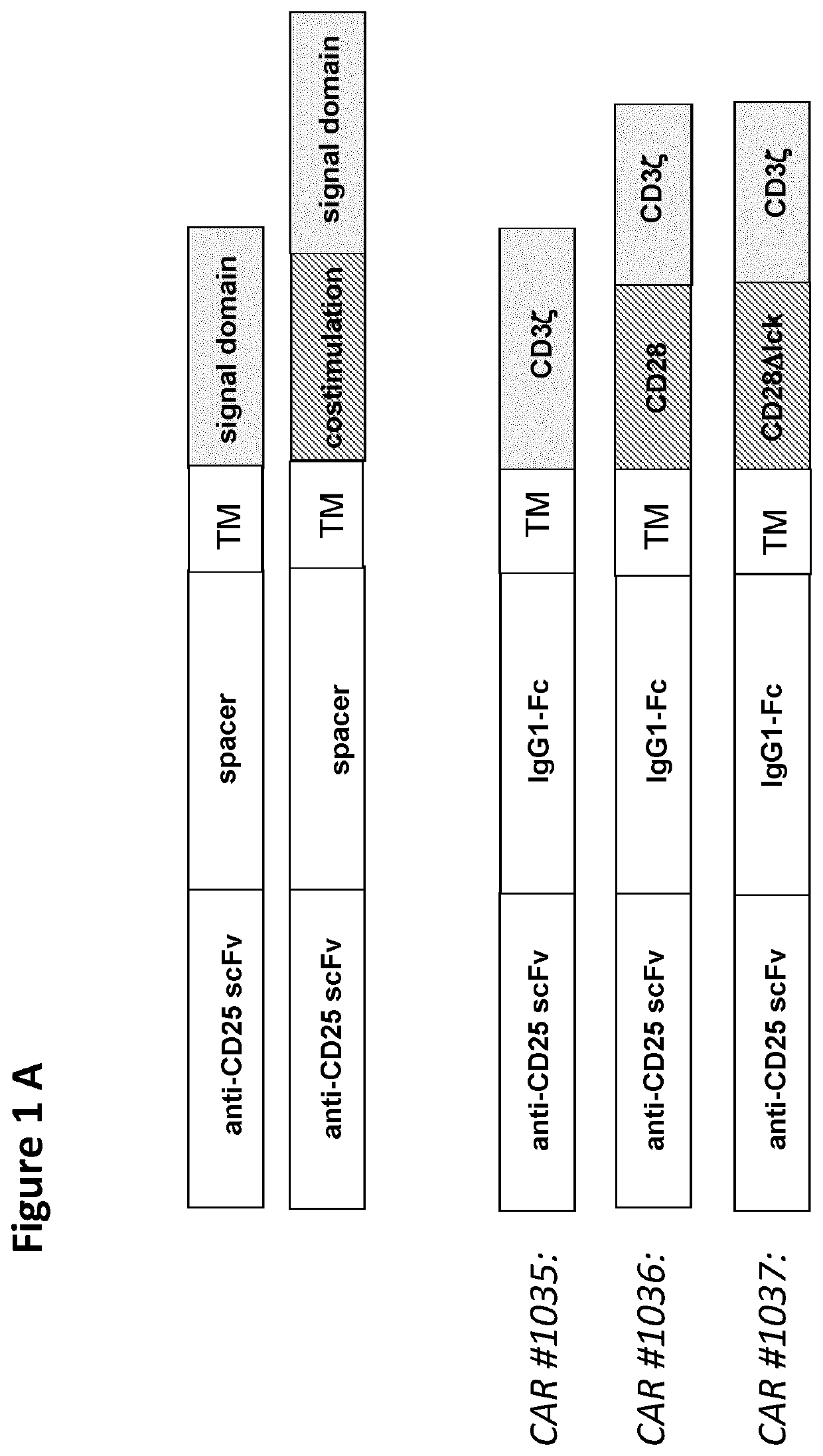 Cd25-specific chimeric antigen receptors and their uses