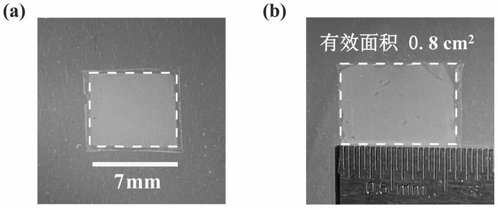 Method for preparing vertical cavity laser by transferring perovskite thin film