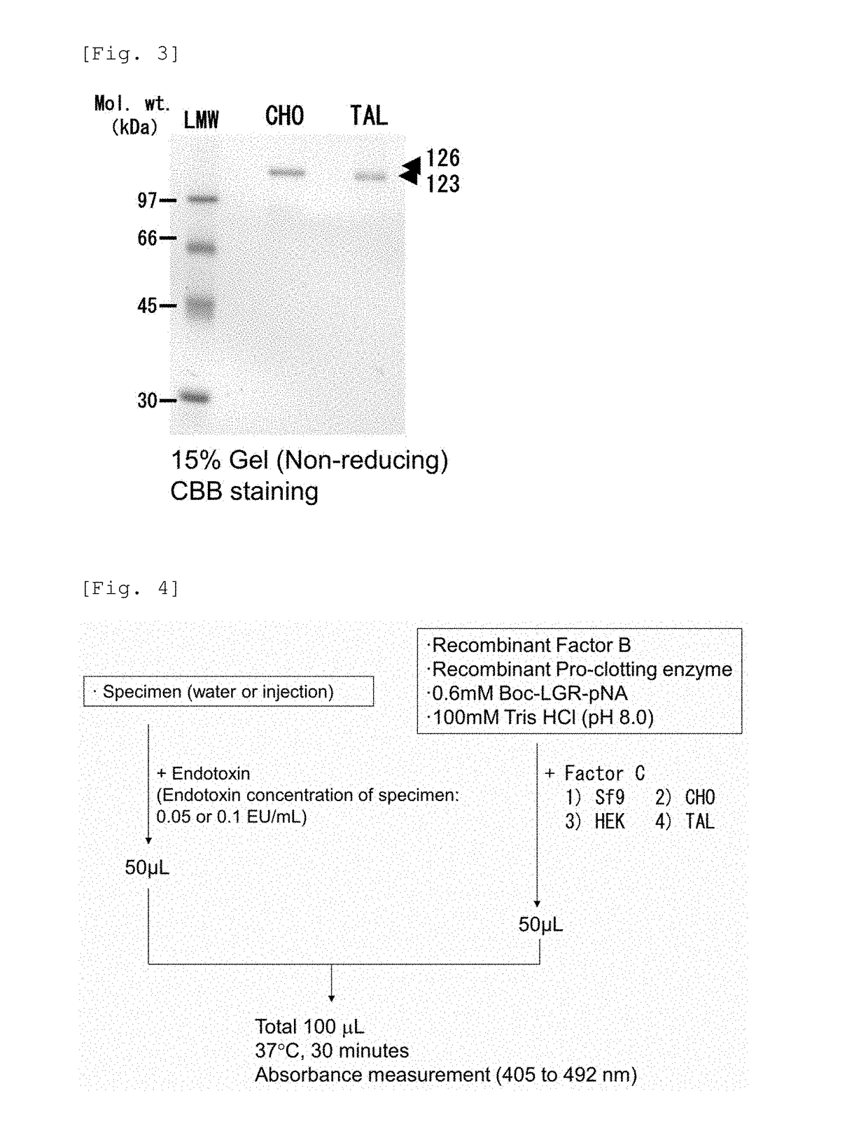 Recombinant Factor C and method for producing the same, and method for measuring endotoxin