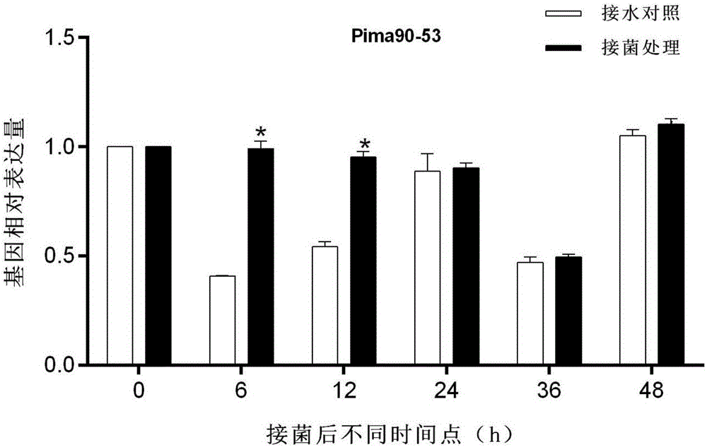 Cotton ascorbic acid peroxidase gene APX and application thereof