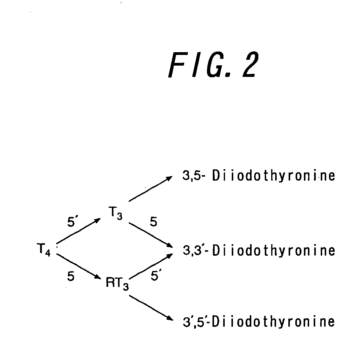 Method for promoting gonadal growth in an animal