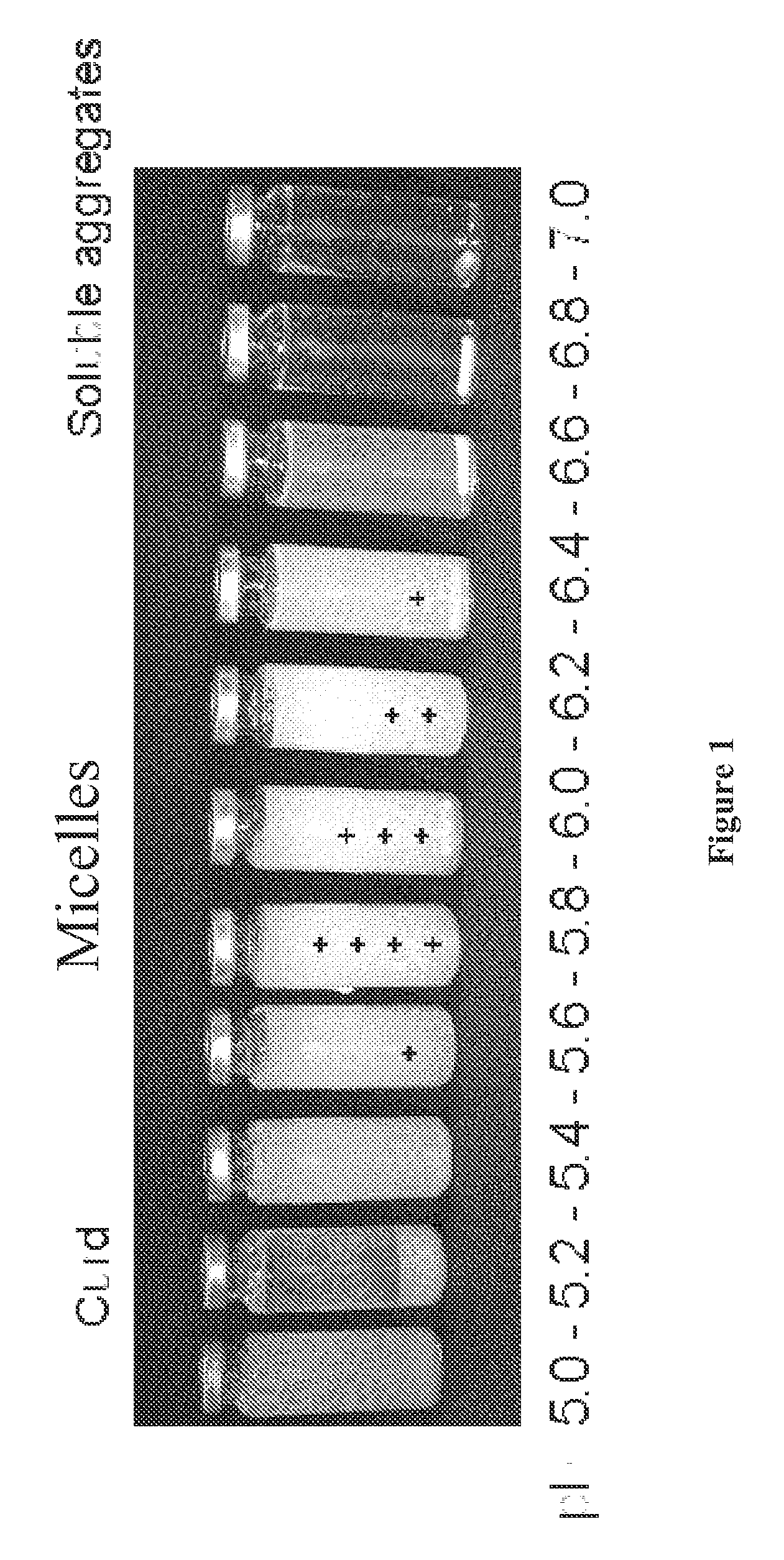 Whey protein vehicle for active agent delivery