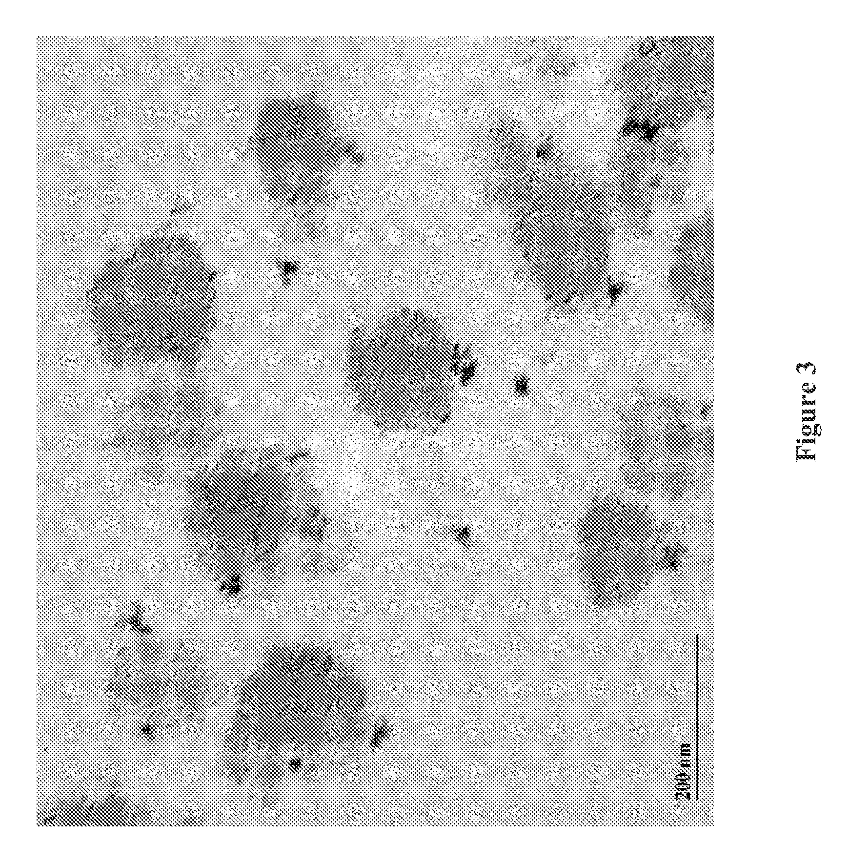 Whey protein vehicle for active agent delivery