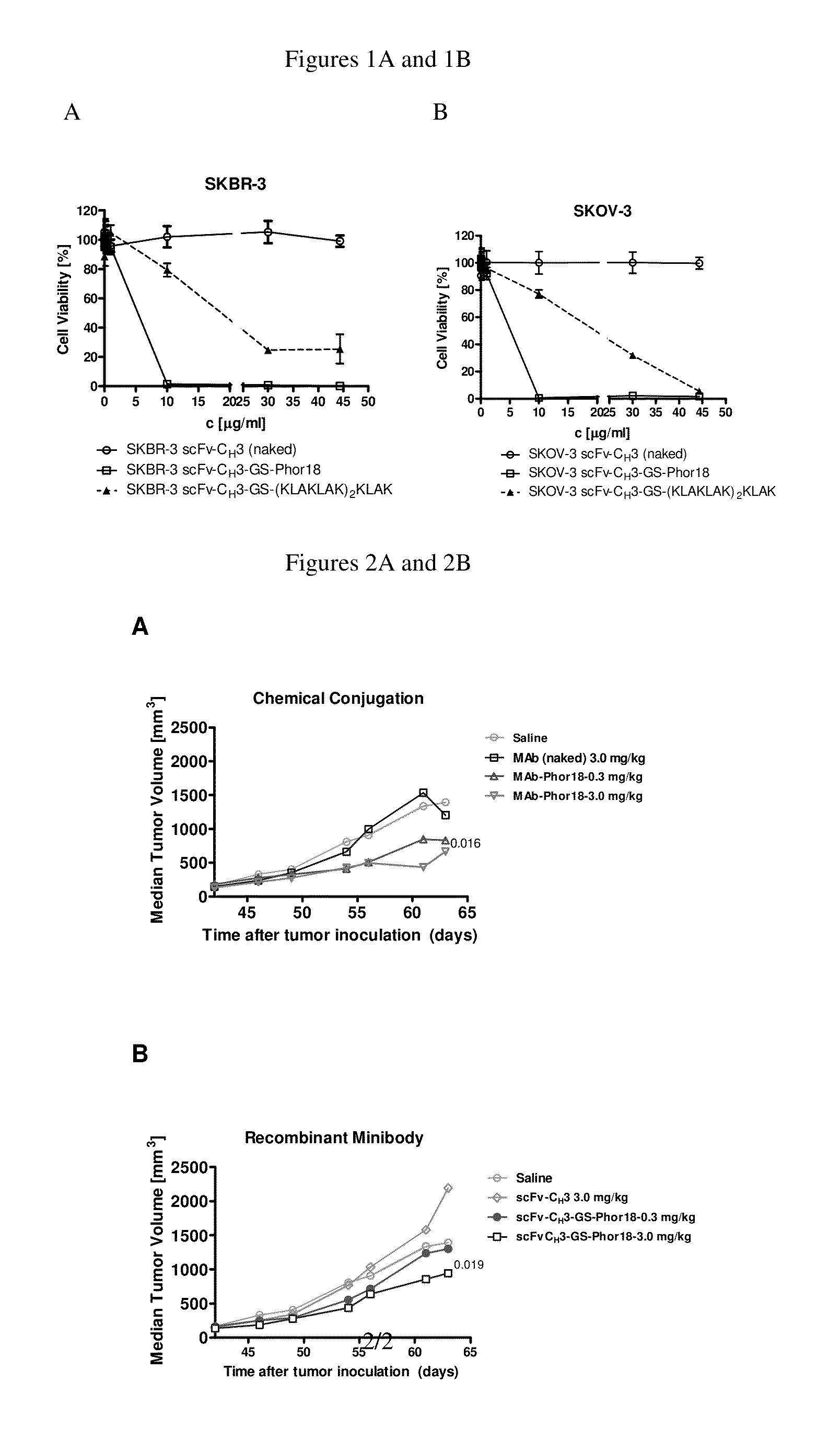 Lytic-peptide-her2/neu (human epidermal growth factor receptor 2) ligand conjugates and methods of use