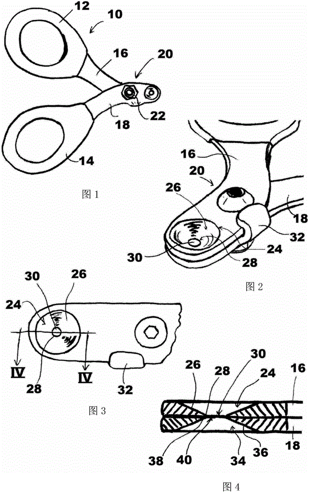 Animal claw shearing apparatuses and methods of using the same
