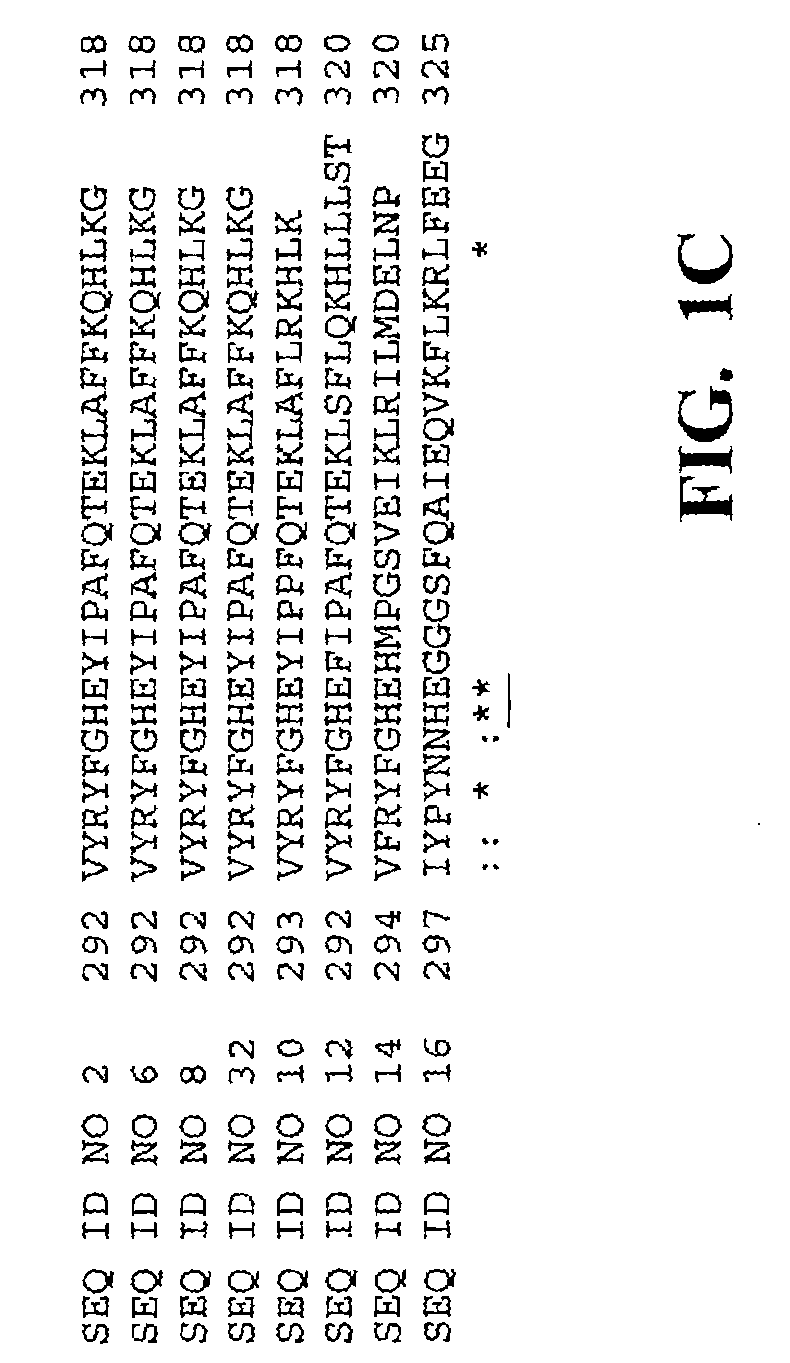Production of Peracids Using An Enzyme Having Perhydrolysis Activity