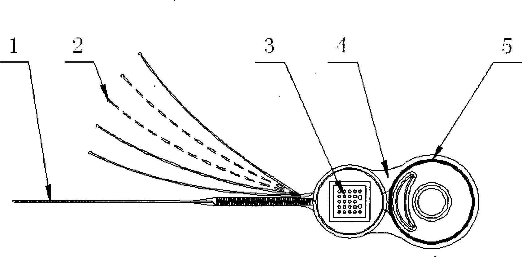 Artificial cochlear implant device adopting multi-point loop electrode outside cochlea