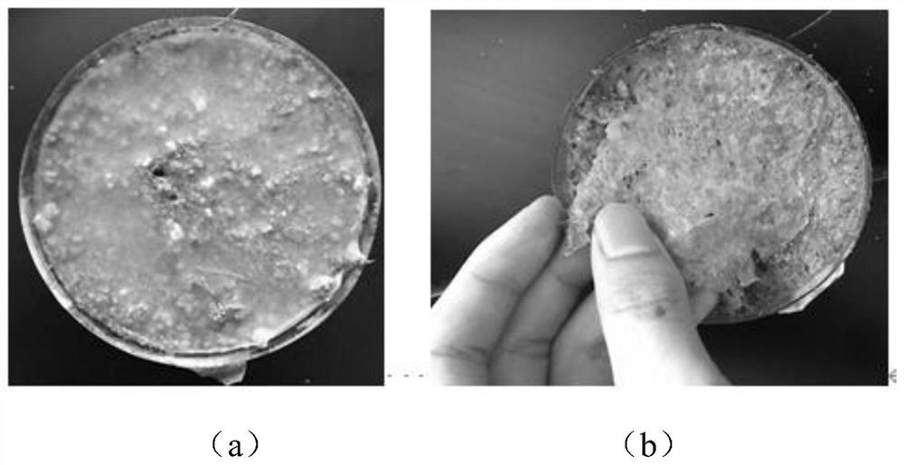 Biomass-based medicinal fertilizer liquid mulch film and preparation method and application thereof