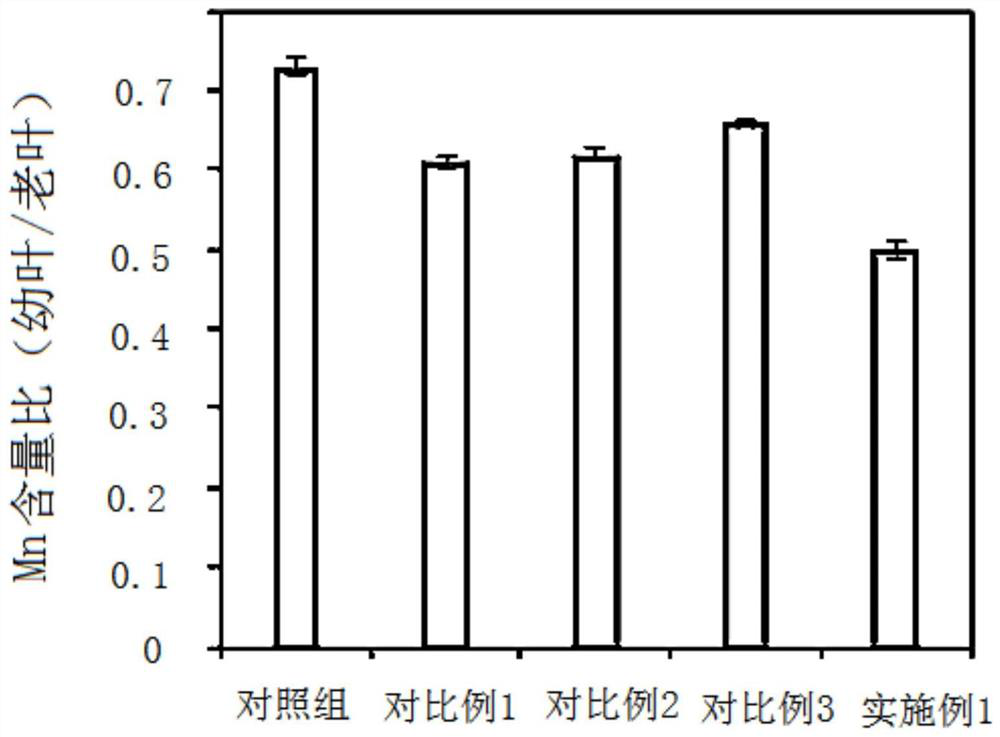 Silicon-containing composition, foliar fertilizer for preventing and treating manganese toxicity of sugarcane, preparation method and application