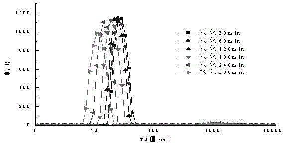 Method for measuring bleeding property of cement paste employing hydrogen proton low-field nuclear magnetic resonance technique