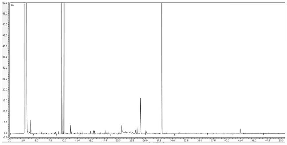 A method for measuring the gas-phase fingerprint of Xingnaojing injection and its standard gas-phase fingerprint