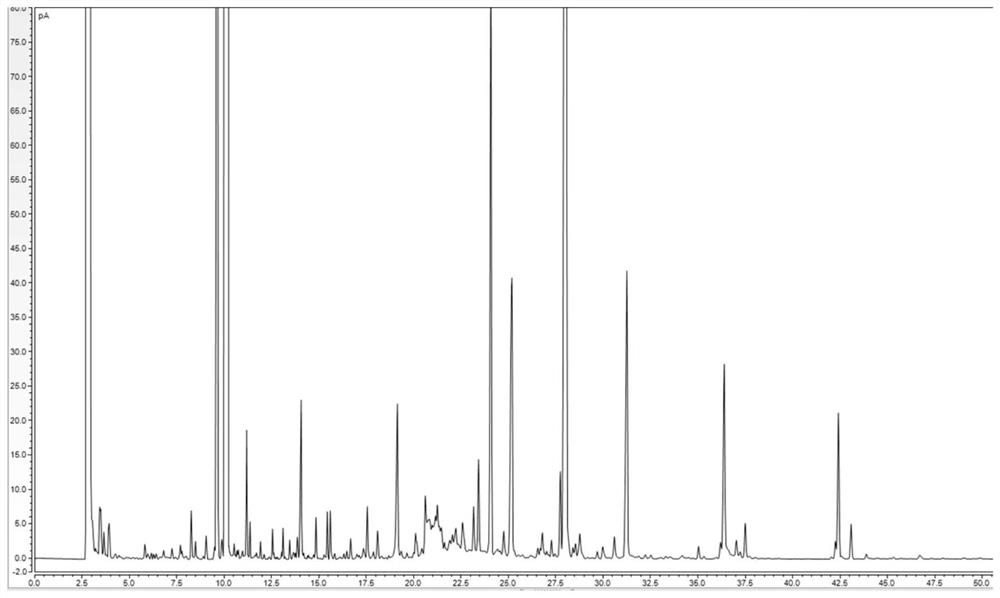 A method for measuring the gas-phase fingerprint of Xingnaojing injection and its standard gas-phase fingerprint