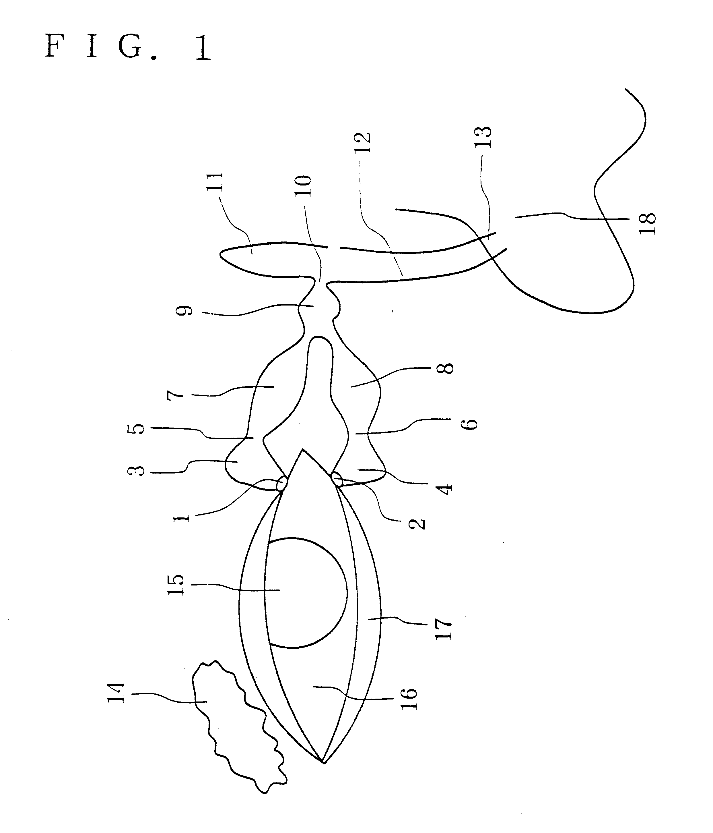 Apparatus for intubation of lacrimal drainage pathway