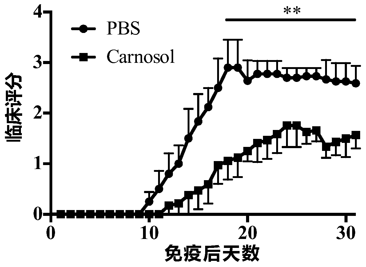 Application of carnosol in the preparation of drugs for preventing and treating experimental autoimmune encephalomyelitis