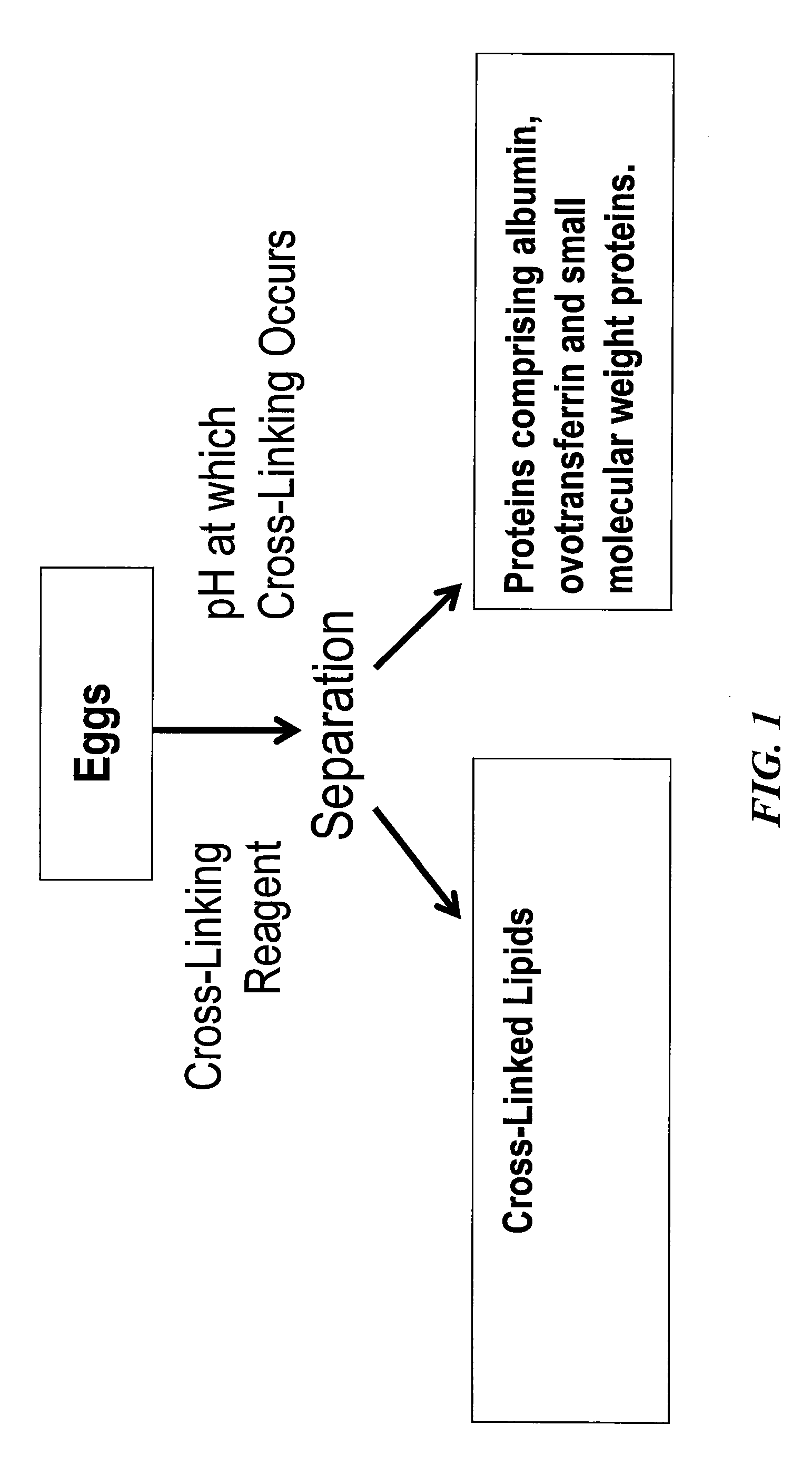 Method of separating components of technical eggs, edible eggs, yolk and whites and products therefrom