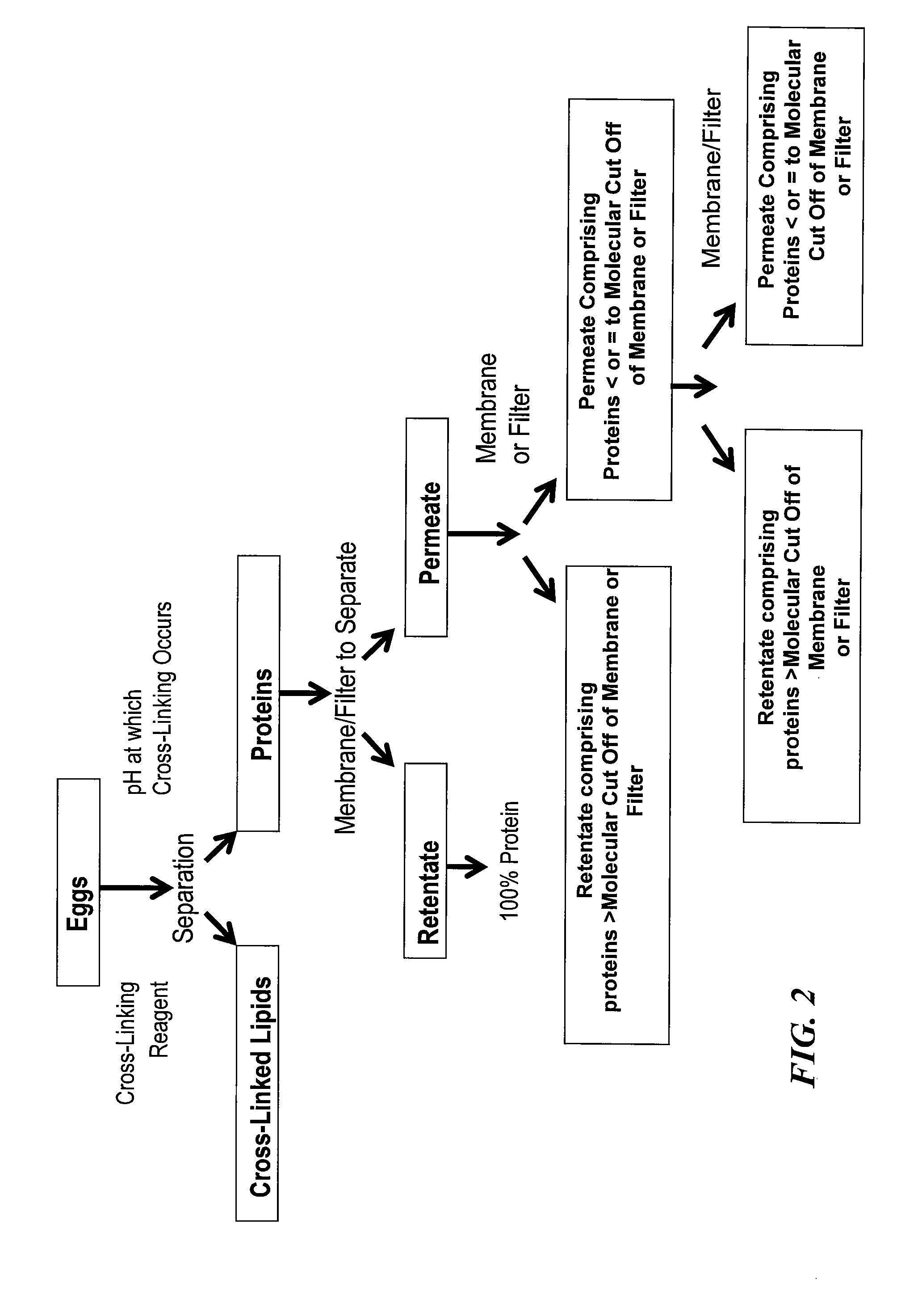Method of separating components of technical eggs, edible eggs, yolk and whites and products therefrom
