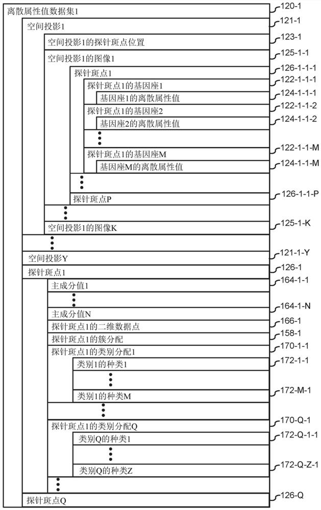 Systems and methods for identifying morphological patterns in tissue samples