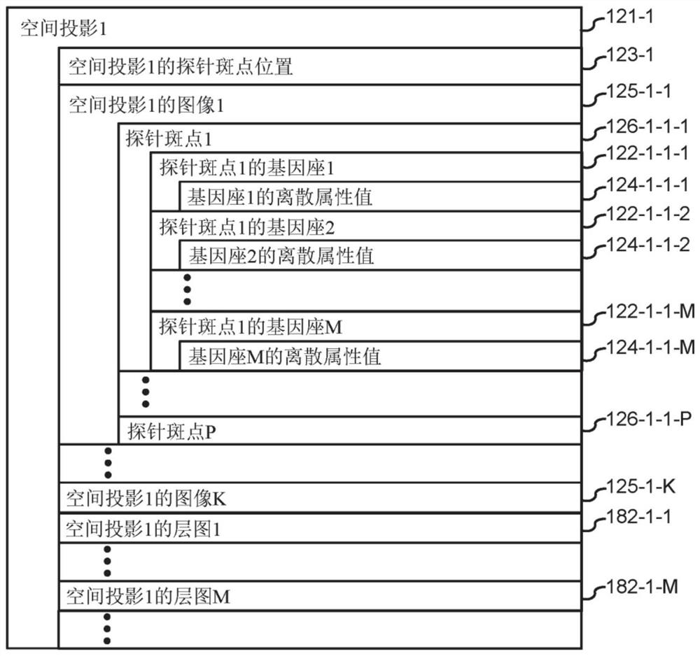 Systems and methods for identifying morphological patterns in tissue samples