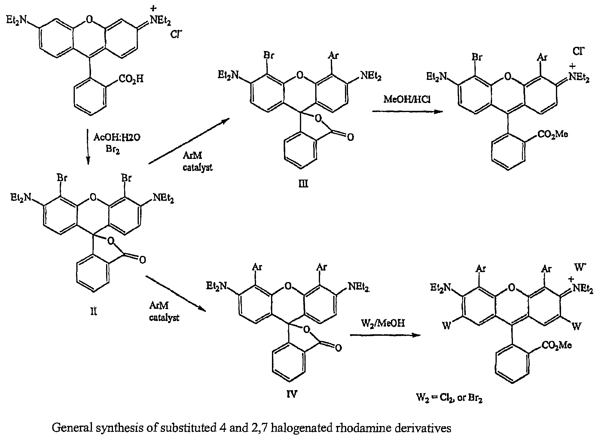 Halogenated rhodamine derivatives and applications thereof