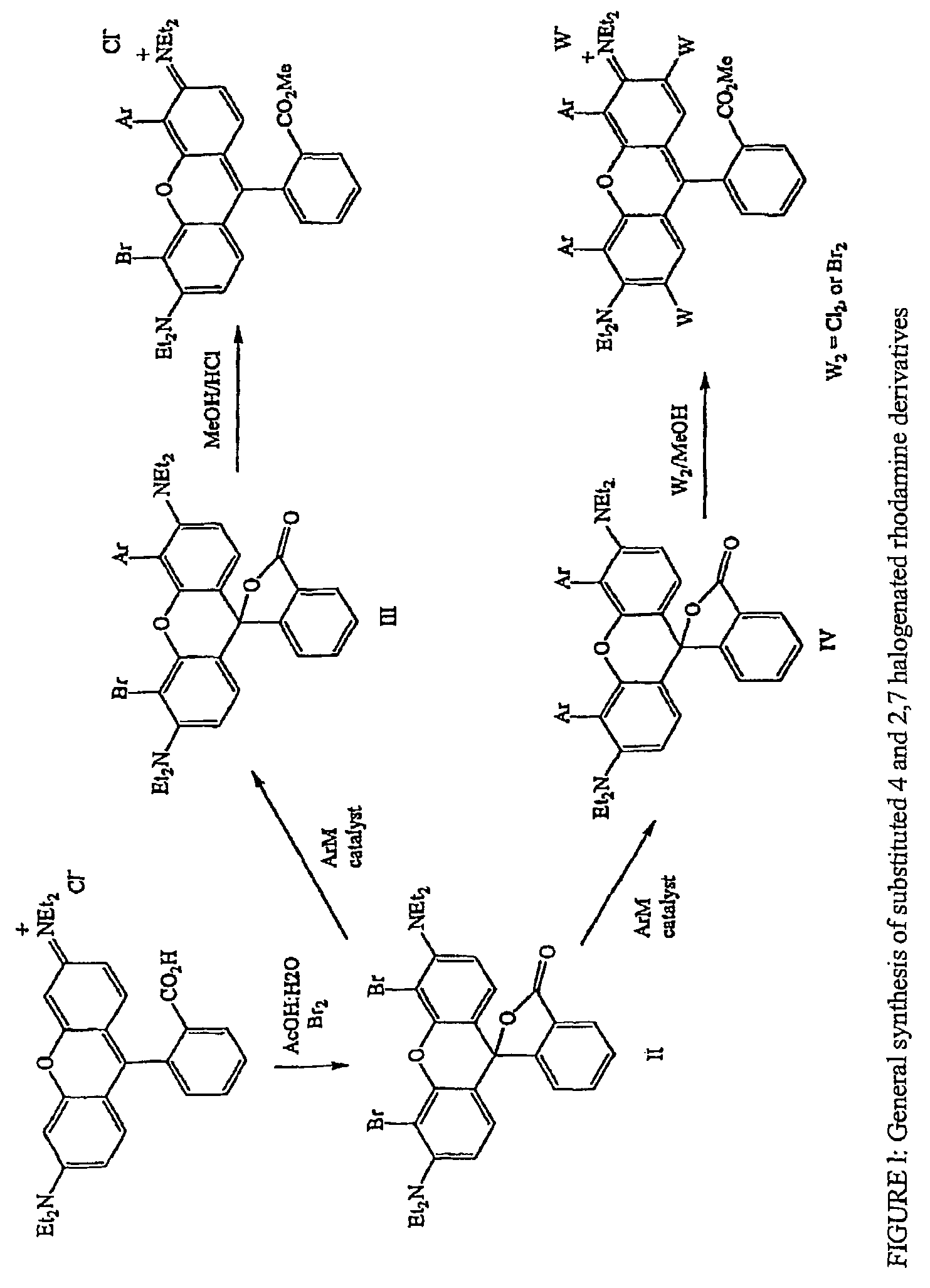 Halogenated rhodamine derivatives and applications thereof