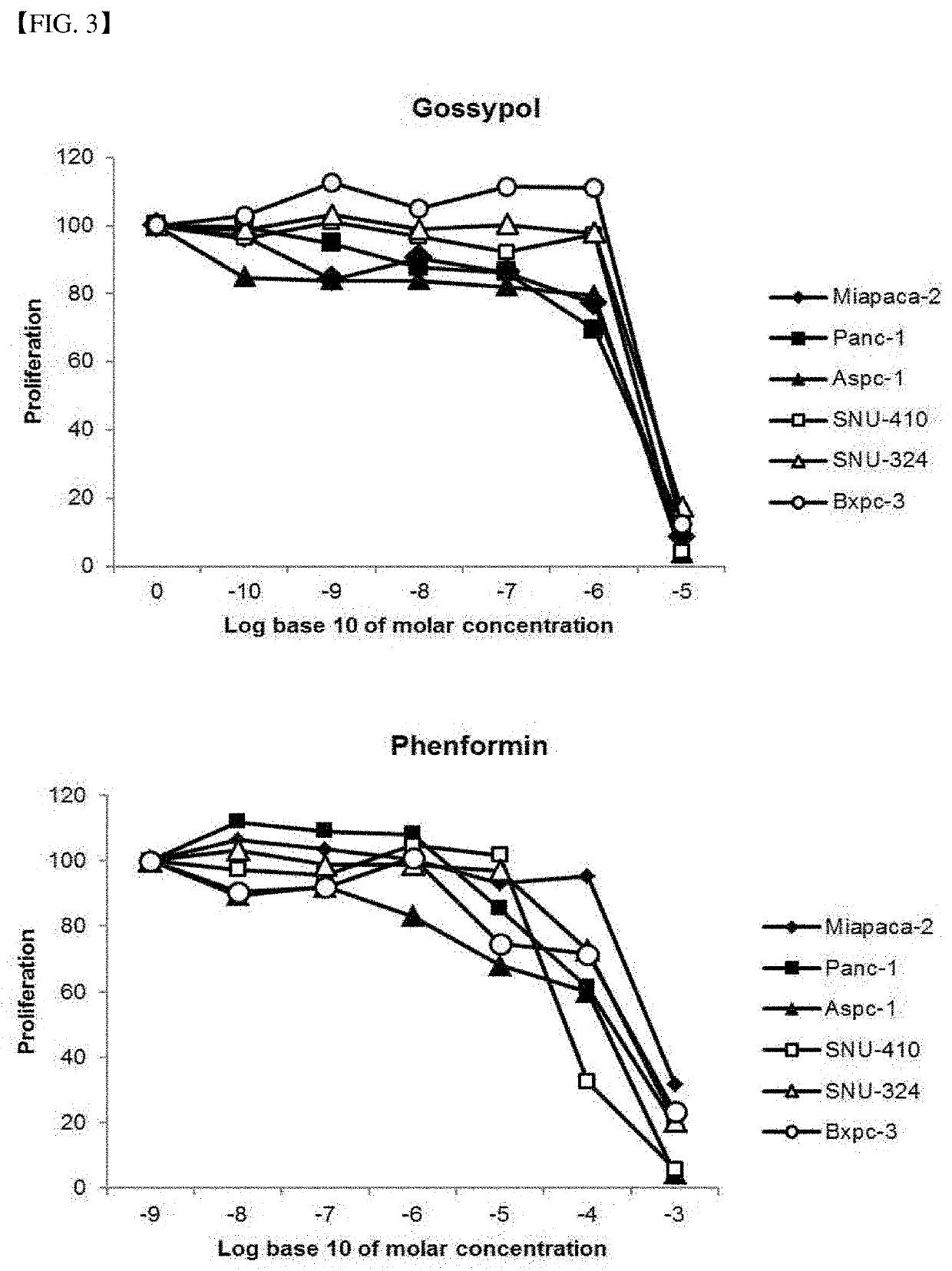 Pharmaceutical composition for preventing and treating pancreatic cancer, containing gossypol and phenformin as active ingredients