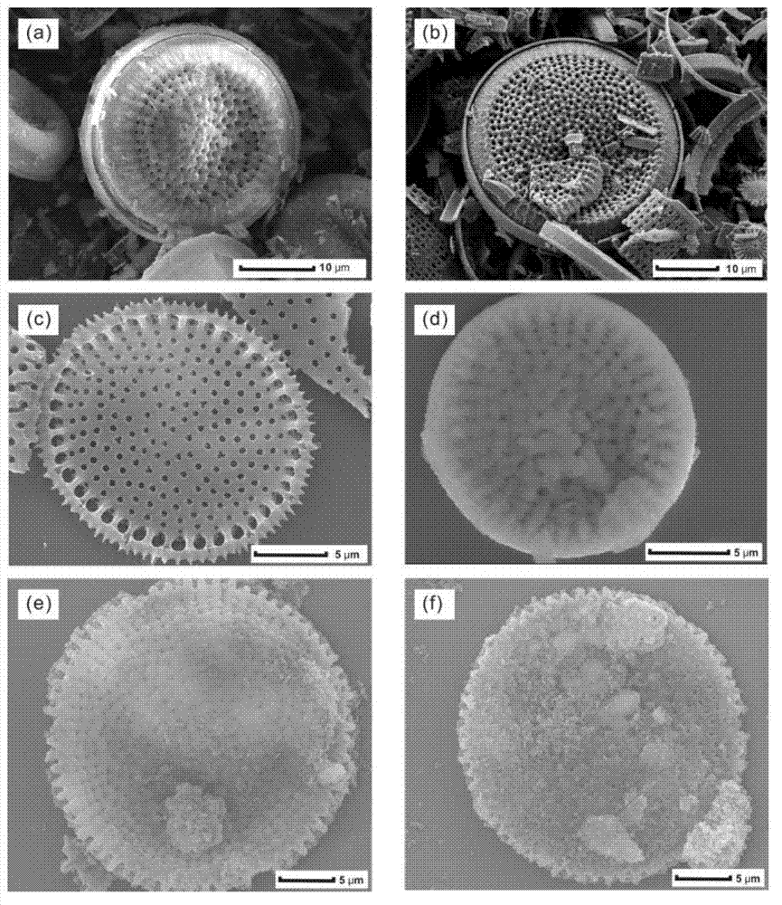 Diatomite-based porous composite material for adsorbing volatile organic pollutants and preparation method thereof