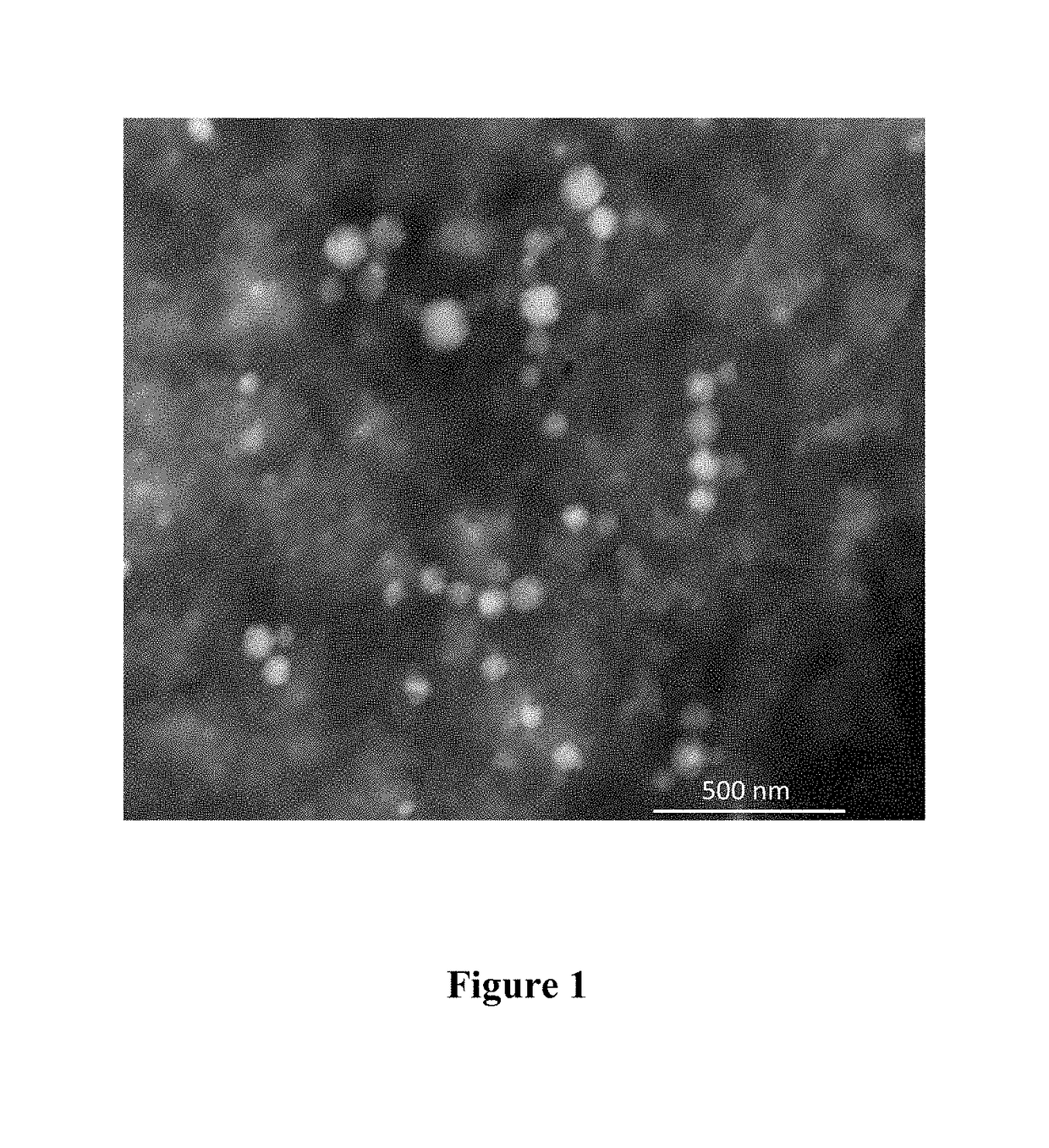 Nanoparticles comprising a vegetable hydrophobic protein and a water miscible non-volatile organic solvent and uses thereof