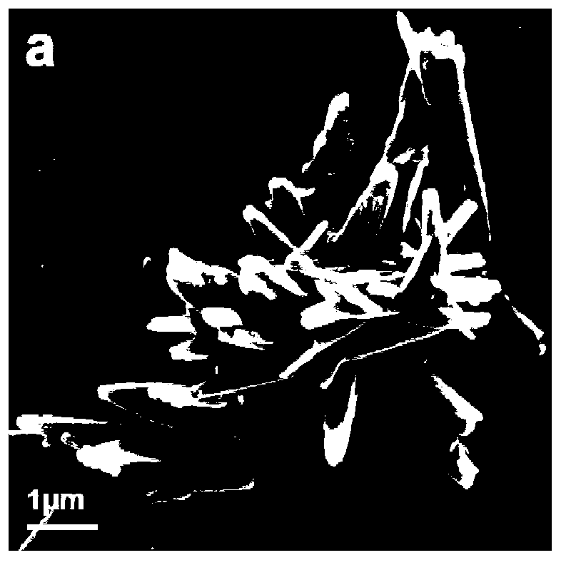 Spiropyrane for improving solid photochromic performance by introducing rigid group and synthesis method thereof