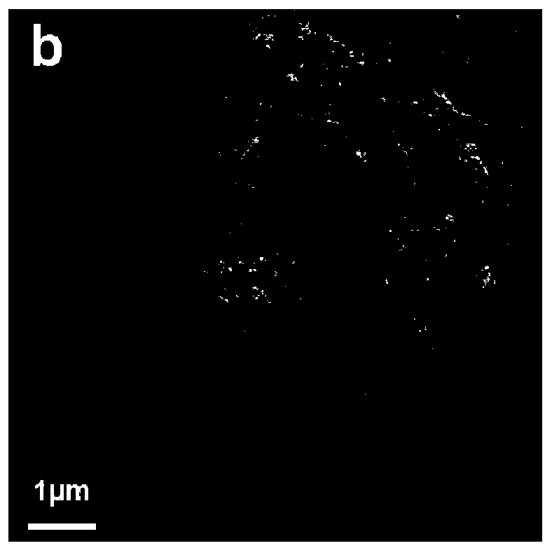 Spiropyrane for improving solid photochromic performance by introducing rigid group and synthesis method thereof