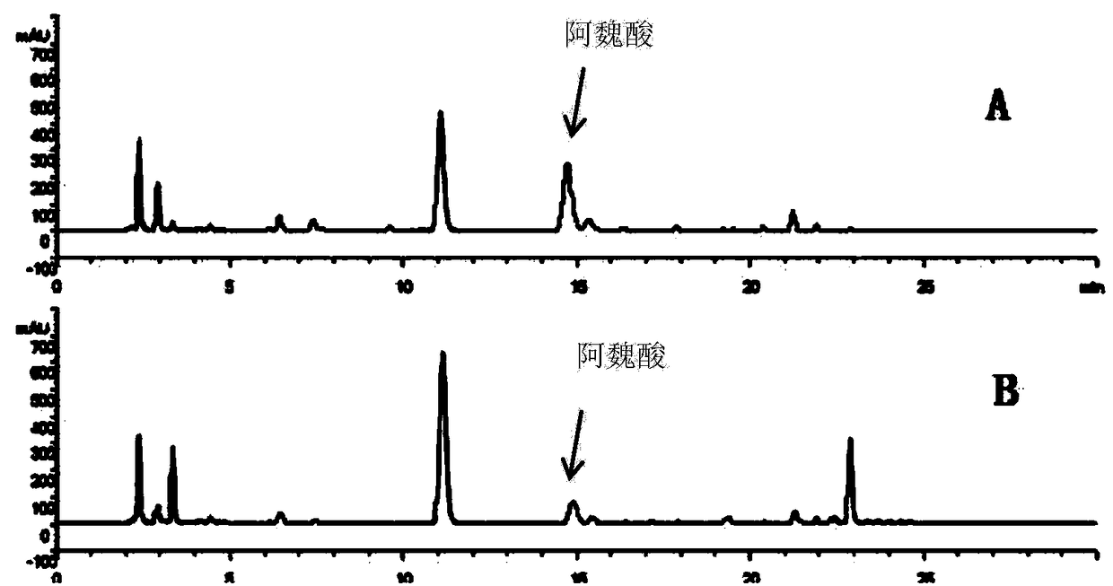 Aspergillus cristatus feruloyl esterase gene as well as engineering bacteria and application of thereof