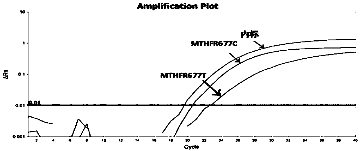 A kind of human mthfr and mtrr gene polymorphism detection primer, probe, kit and method