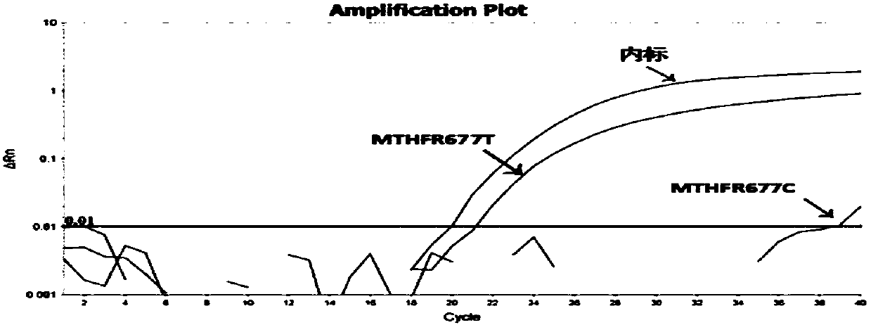 A kind of human mthfr and mtrr gene polymorphism detection primer, probe, kit and method