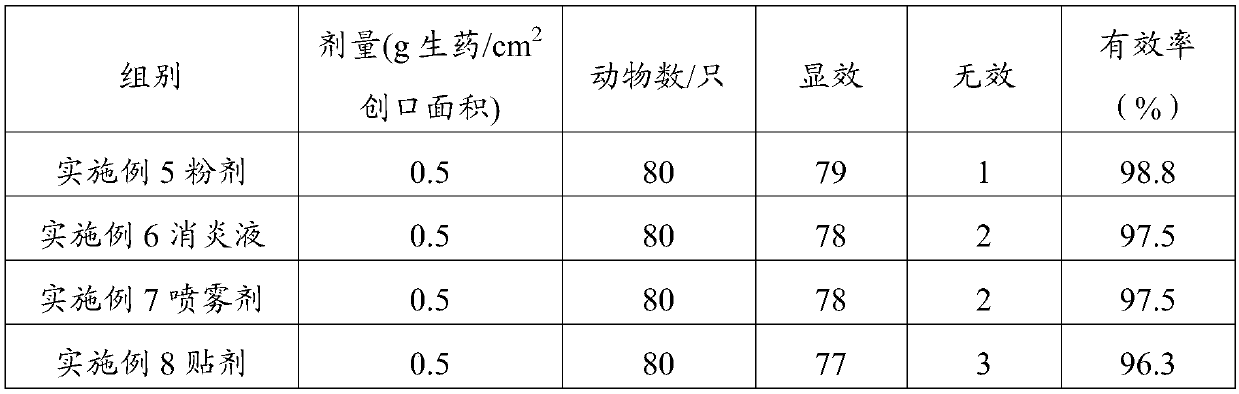 Traditional Chinese medicine composition with hemostasis and analgesic effects as well as preparation method and application thereof