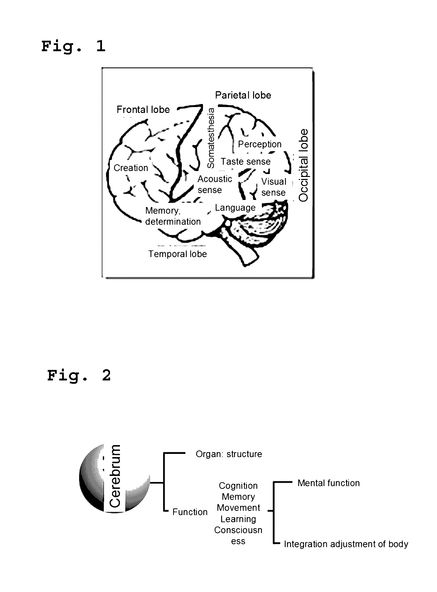 Method for treating/preventing disease using cognitive ability of cerebrum and pharmaceutical